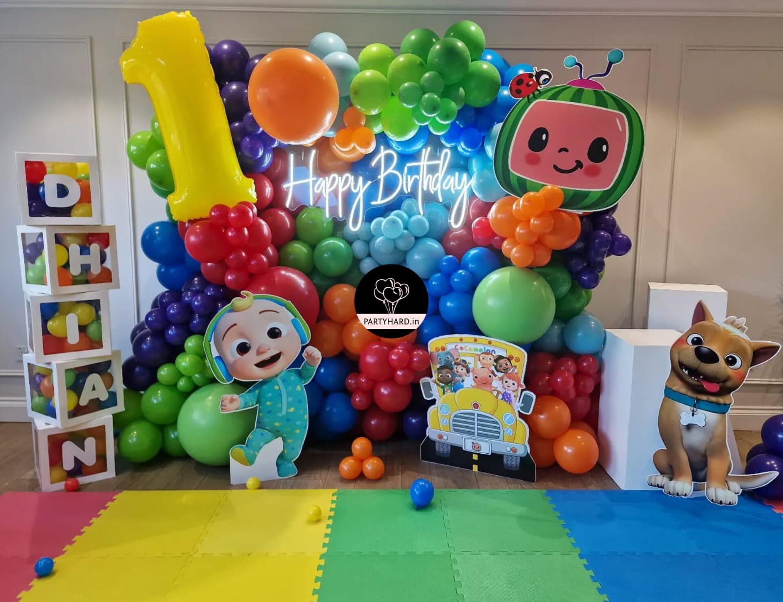 CoCo Birthday Decor